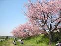 多摩川